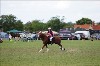 UKPA  NC Sat_1193